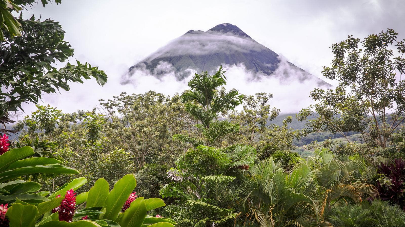 Banner image of Essential Upgraded Costa Rica
