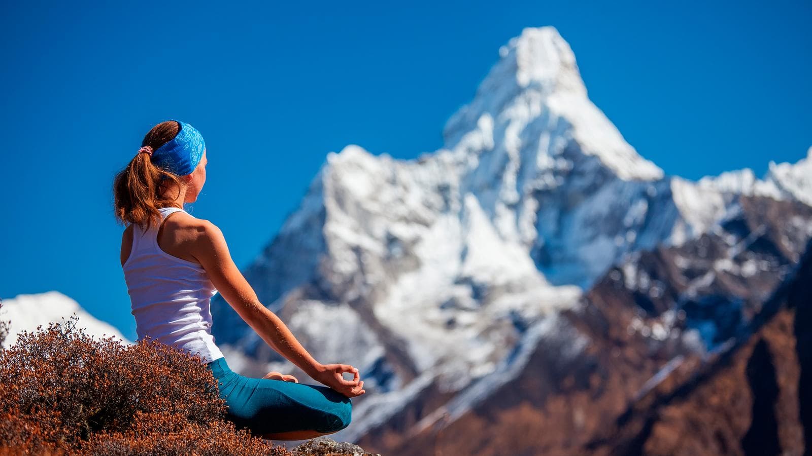 Banner image of Wellness India