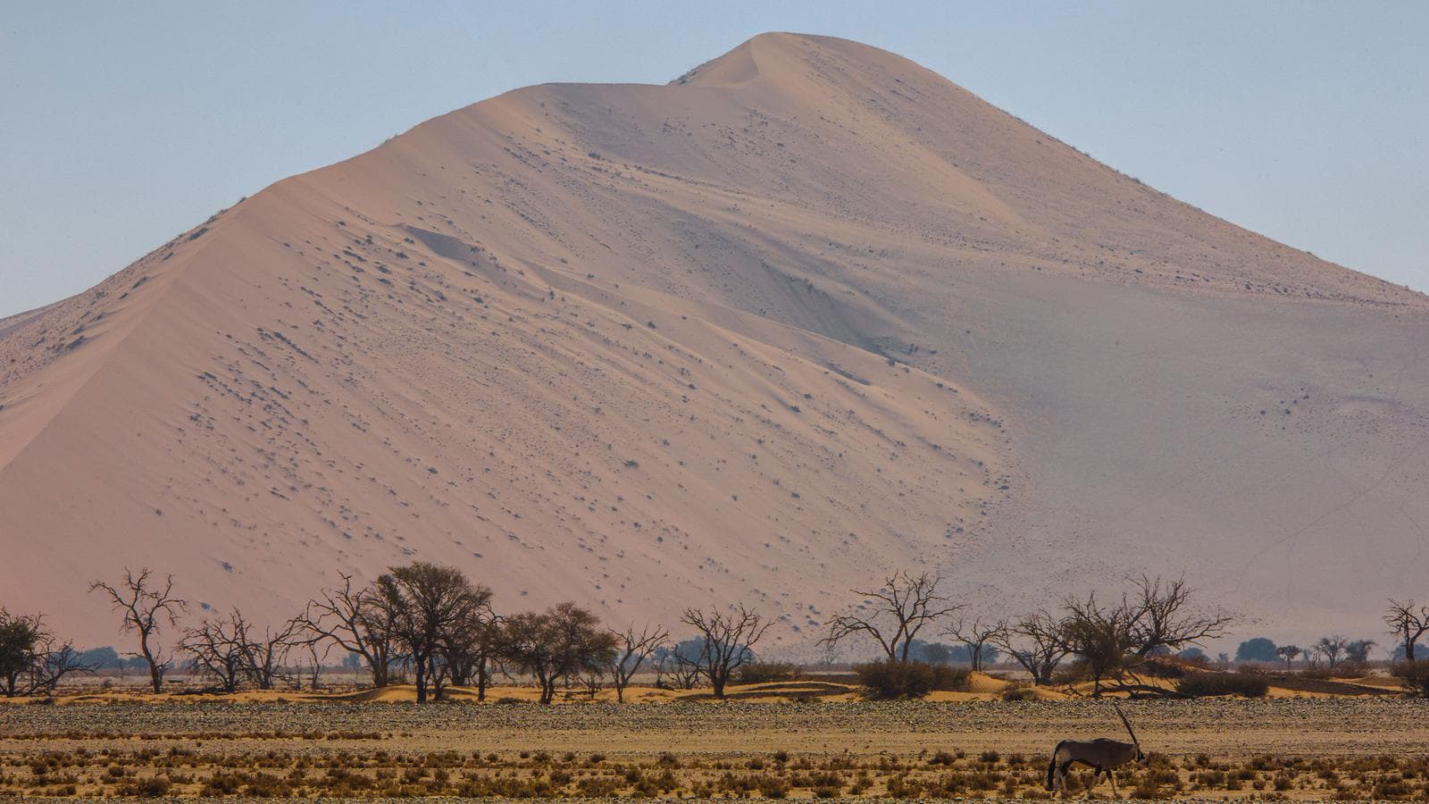 Banner image of Best of Cape Town, Kruger & Namibia