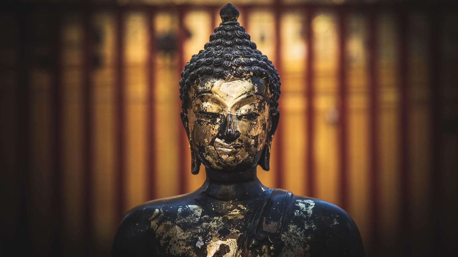 Banner image of Thailand Adventure: Bangkok, Chiang Mai & Street Food Crawls