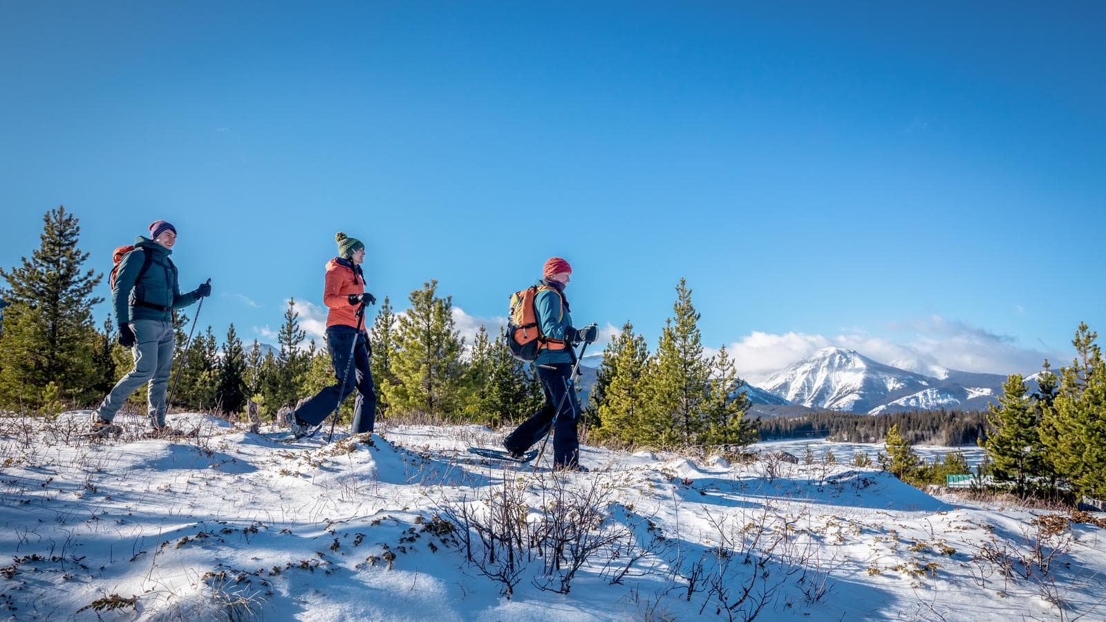 Banner image of Canadian Rockies Winter Adventure